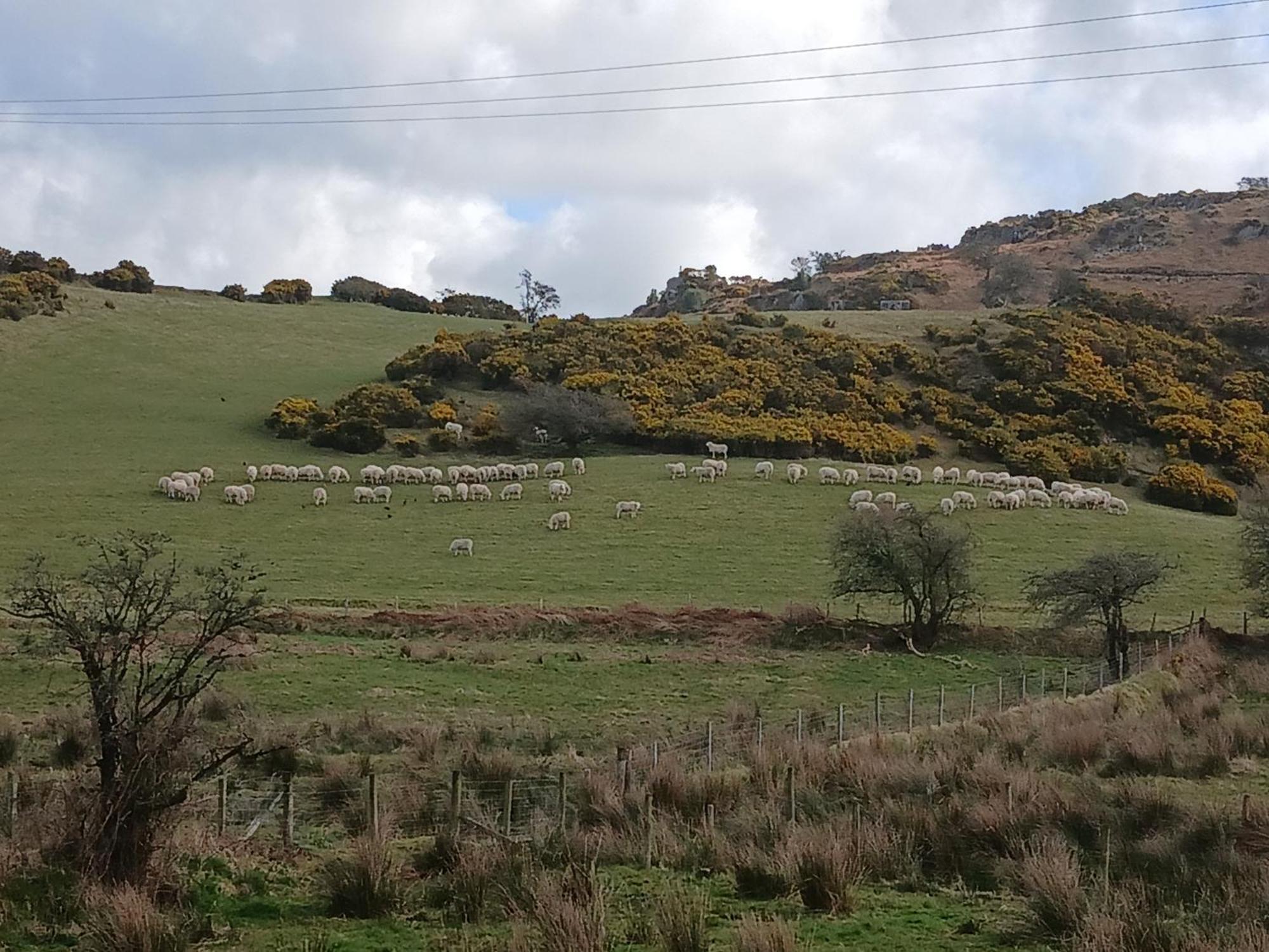 St Kevins